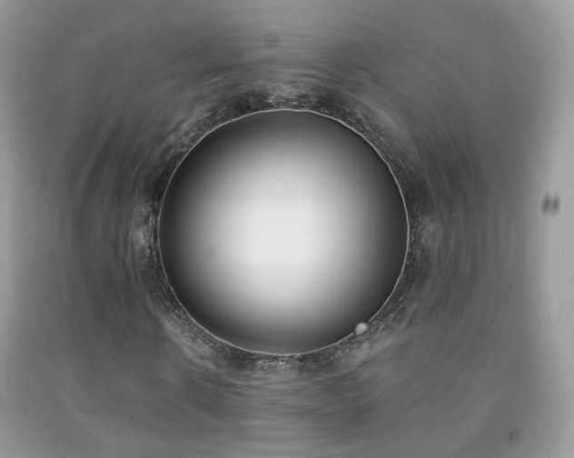 X0000091970914200709061328