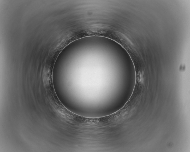 X0000091970915200709061328