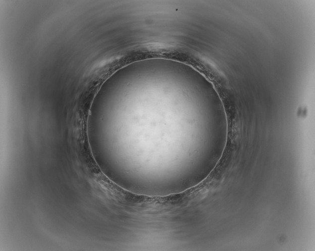 X0000091970917200709061328