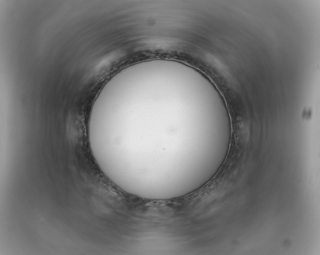 X0000091970918200709061328