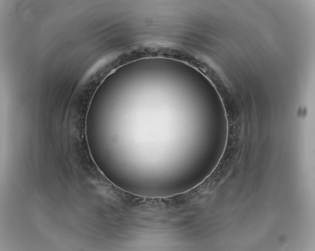 X0000091970919200709061328