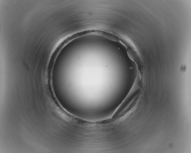 X0000091970924200709061328