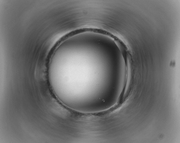 X0000091970926200709061328