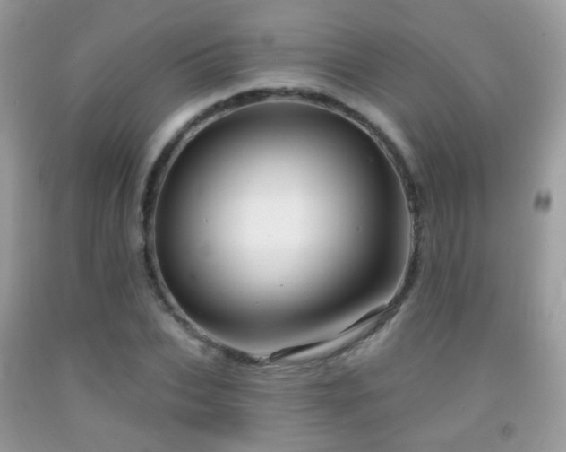 X0000091970927200709061328