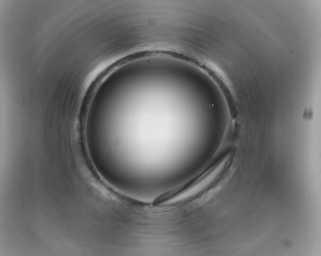 X0000091970928200709061328