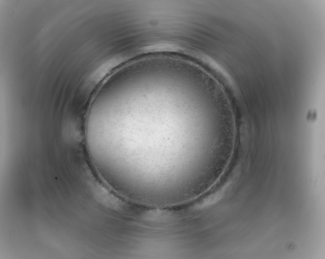 X0000091970929200709061328