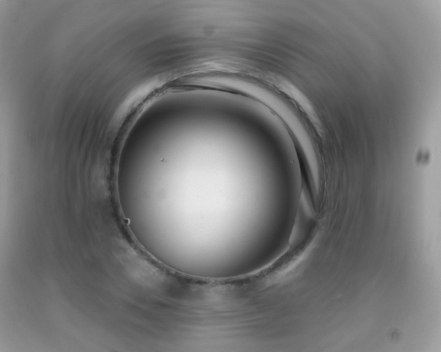 X0000091970930200709061328