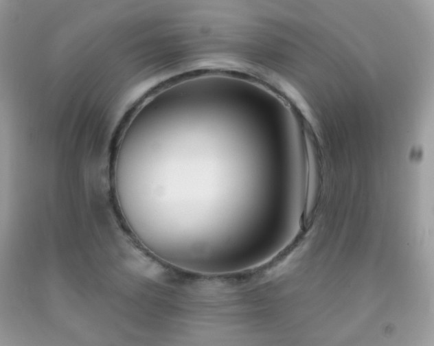 X0000091970931200709061328