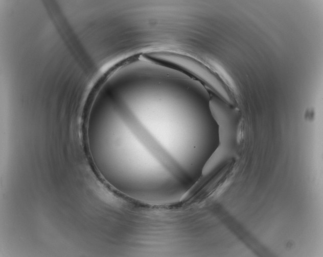 X0000091970932200709061328