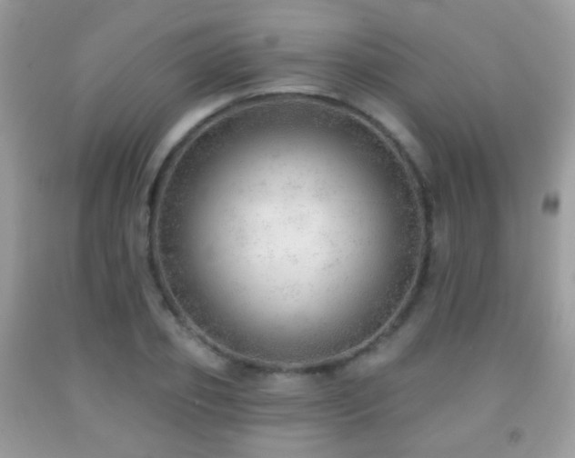 X0000091970933200709061328