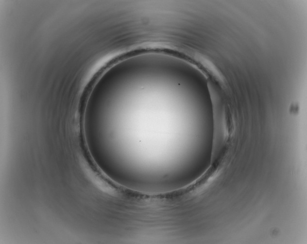 X0000091970934200709061328