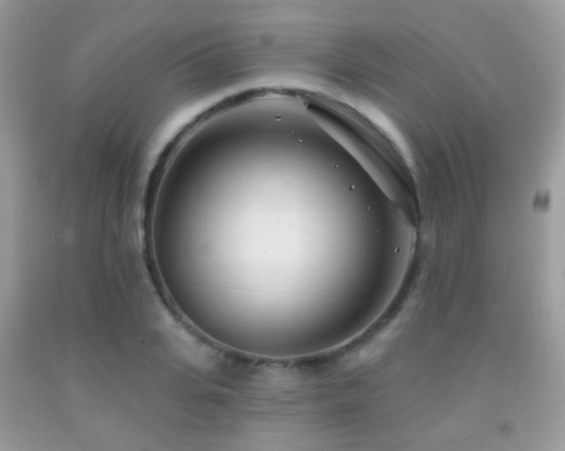 X0000091970935200709061328