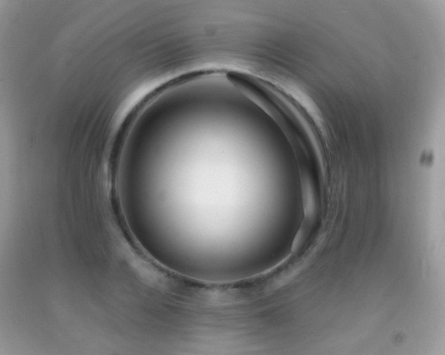 X0000091970936200709061328