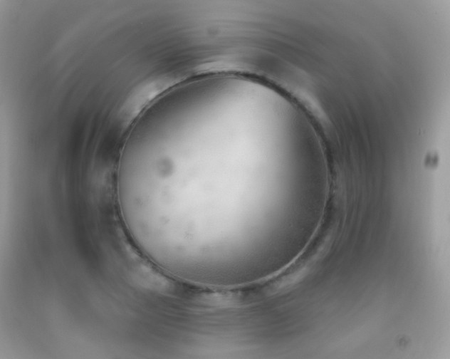 X0000091970937200709061328