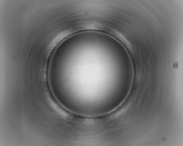 X0000091970938200709061328
