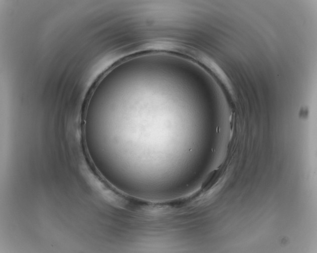 X0000091970939200709061328
