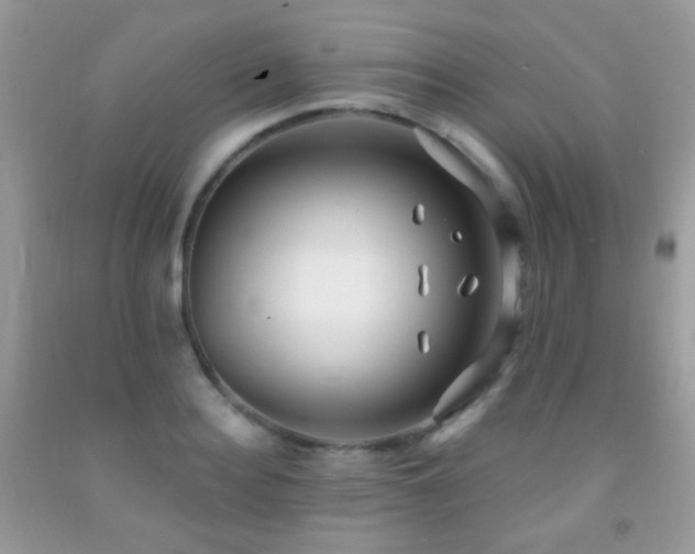 X0000091970940200709061328