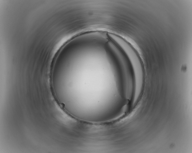 X0000091970941200709061329