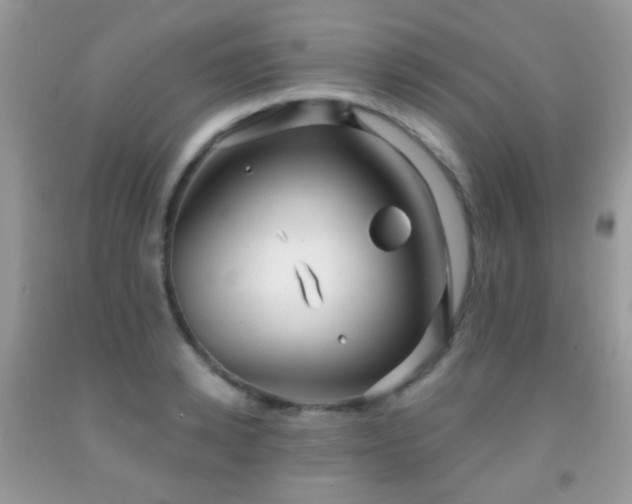 X0000091970942200709061329
