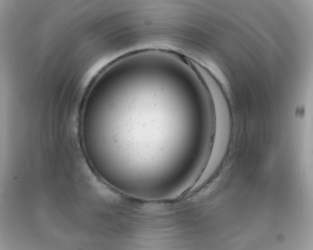 X0000091970944200709061329
