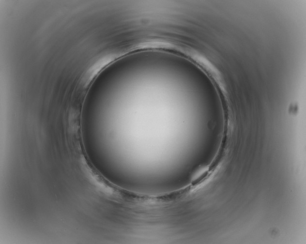 X0000091970945200709061329