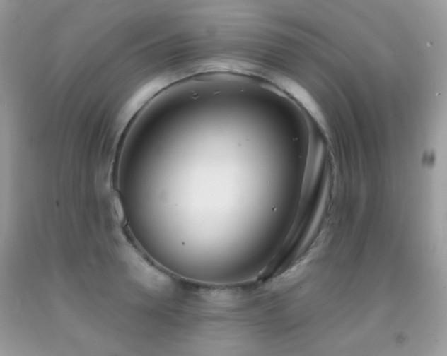 X0000091970946200709061329