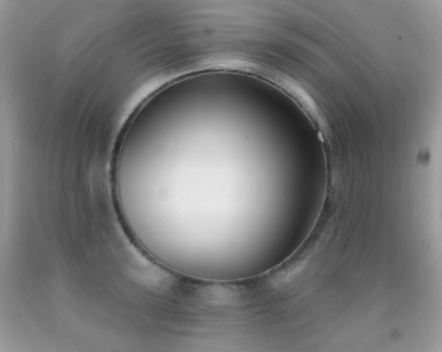 X0000091970947200709061329