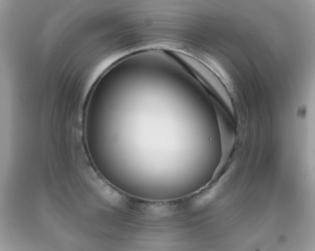 X0000091970948200709061329