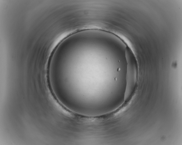 X0000091970949200709061329