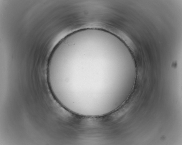 X0000091970950200709061329