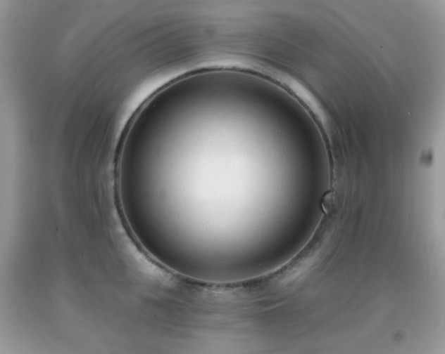 X0000091970951200709061329