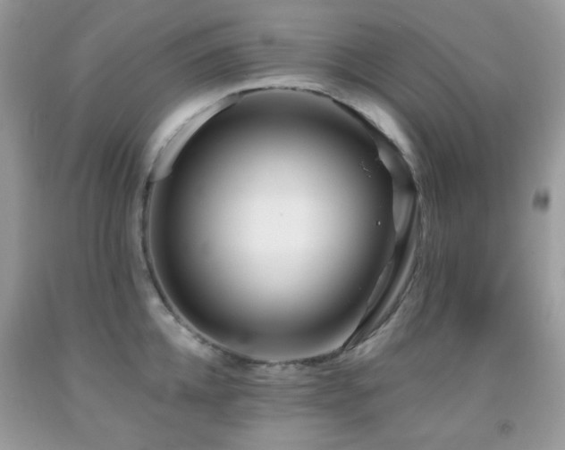 X0000091970952200709061329