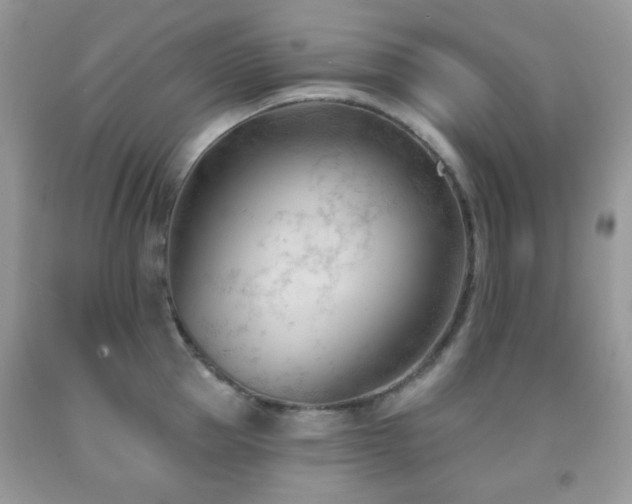 X0000091970953200709061329