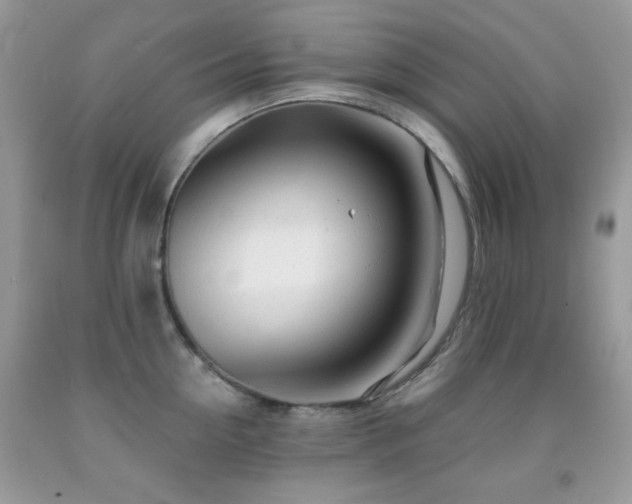 X0000091970954200709061329