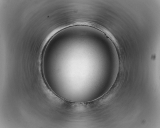 X0000091970955200709061329