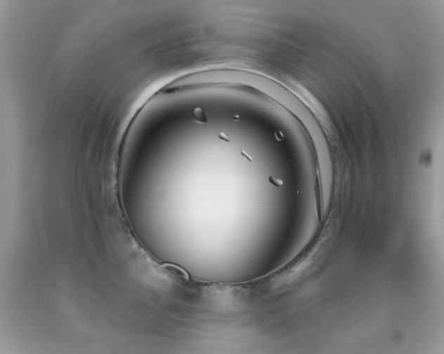 X0000091970956200709061329