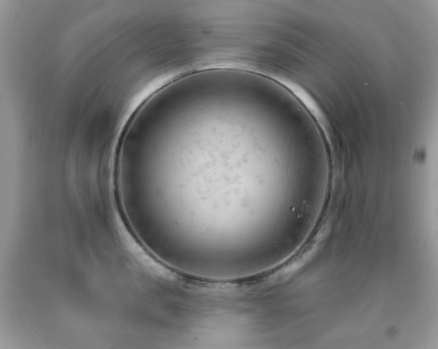 X0000091970957200709061329