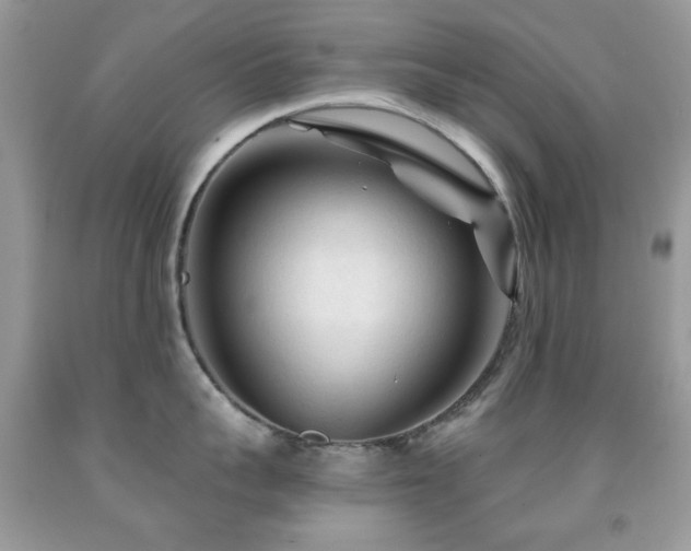 X0000091970959200709061329