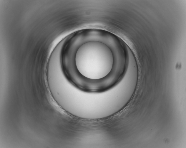 X0000091970960200709061329