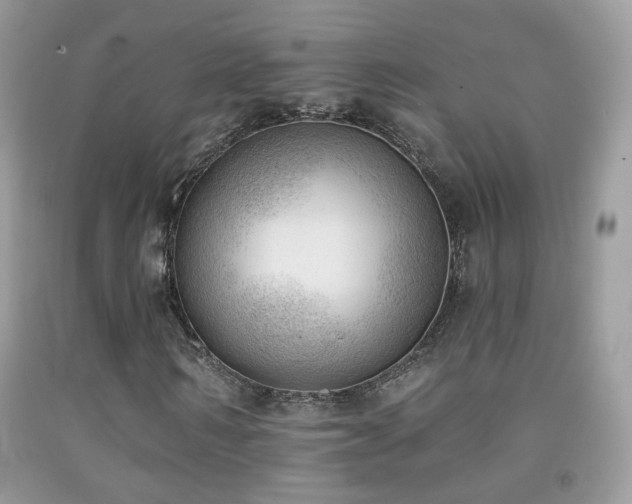 X0000091970962200709061328