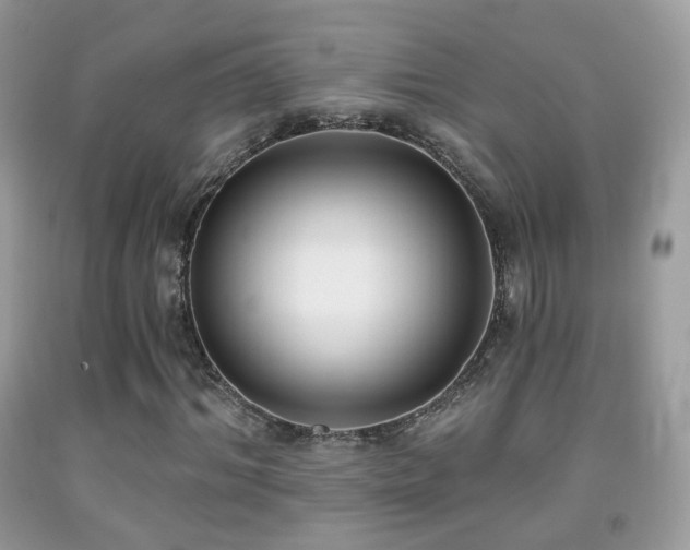 X0000091970964200709061328