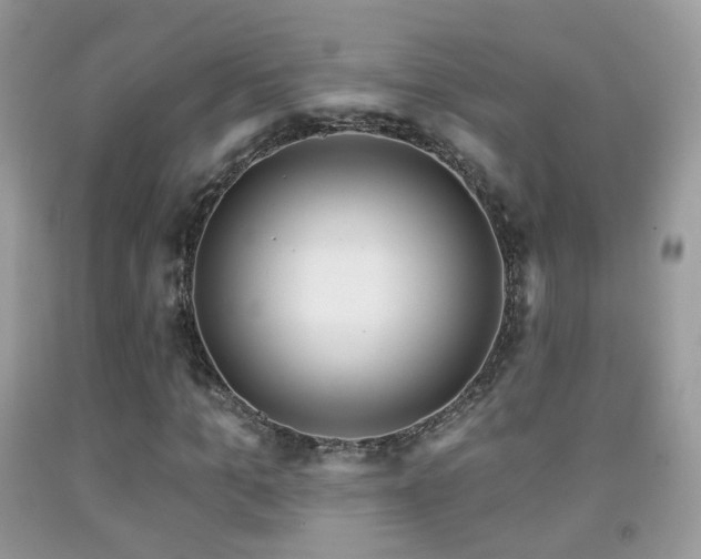 X0000091970965200709061328