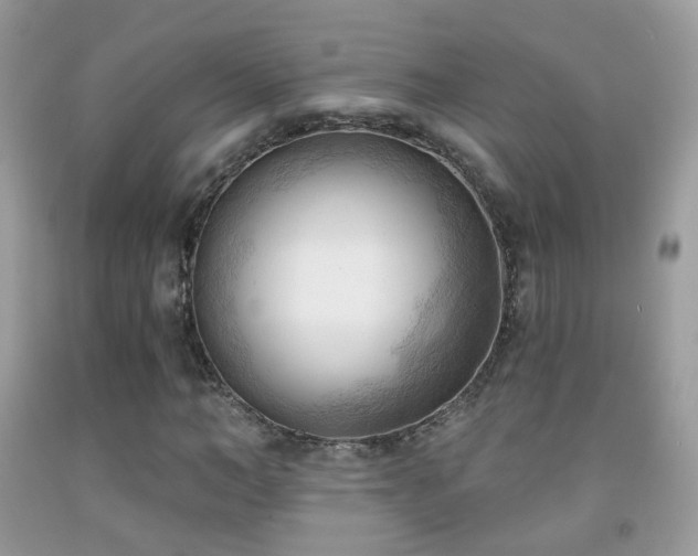 X0000091970966200709061328