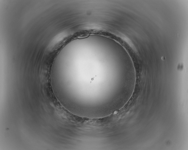 X0000091970967200709061328