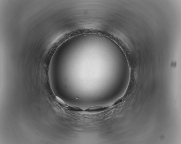 X0000091970968200709061328