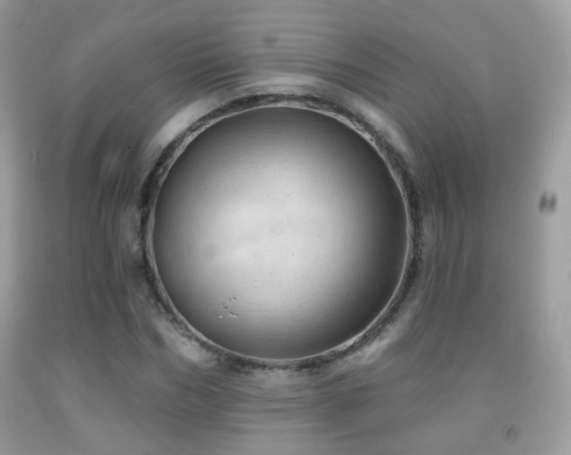 X0000091970970200709061328