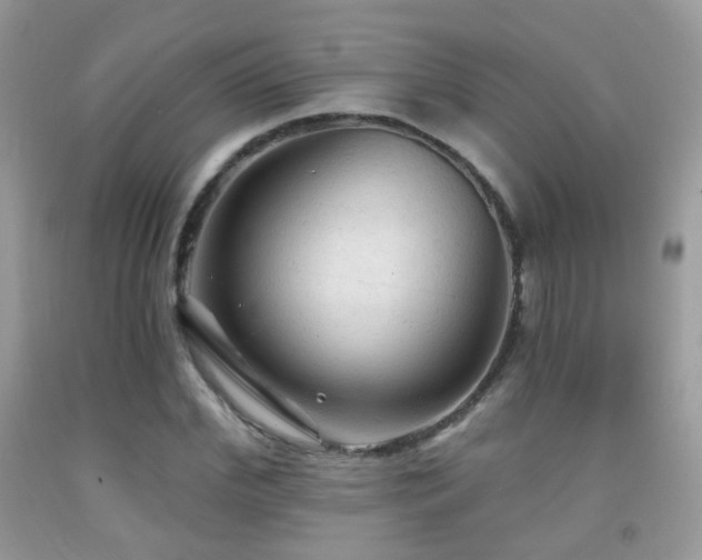 X0000091970972200709061328