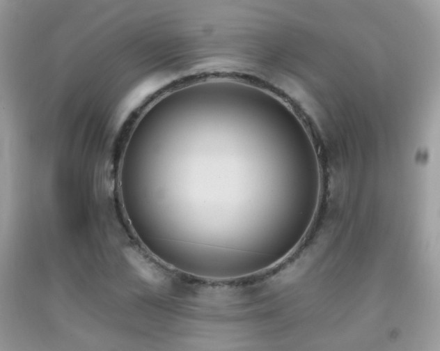 X0000091970973200709061328