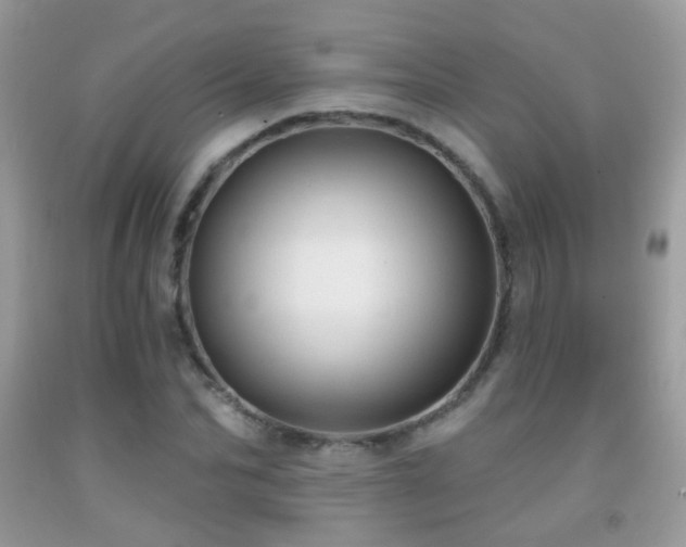 X0000091970974200709061328