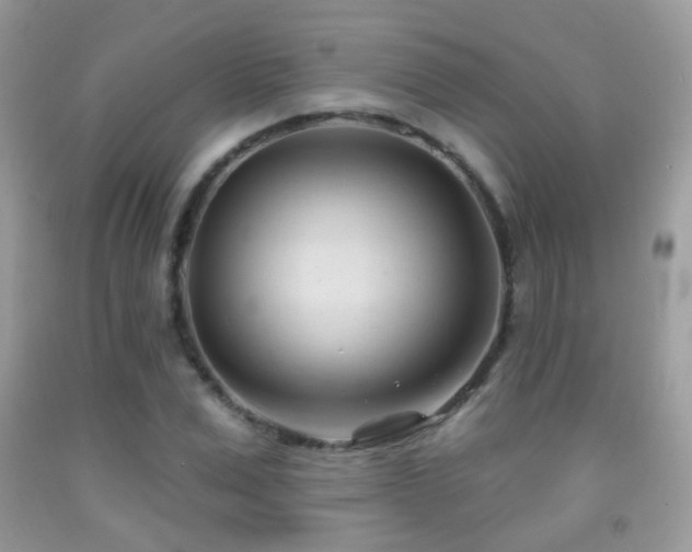 X0000091970975200709061328
